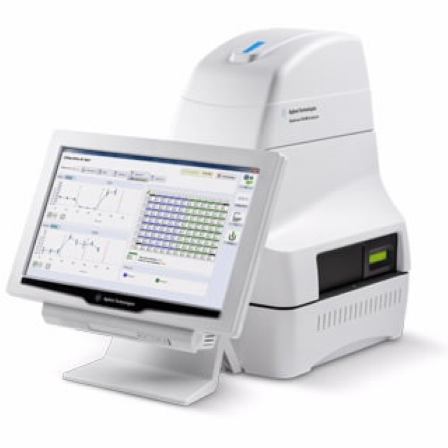 Seahorse XFe96 analyser